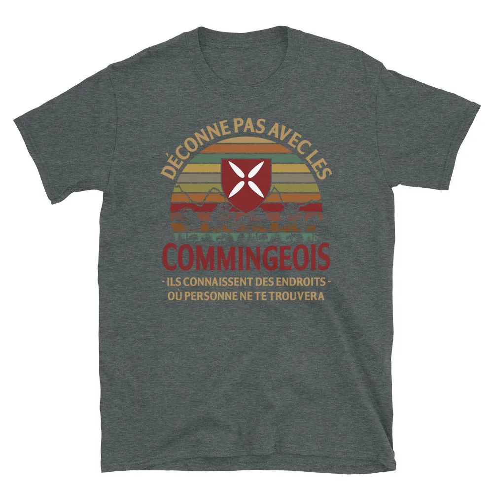 Endroits Commingeois - T-shirt Standard