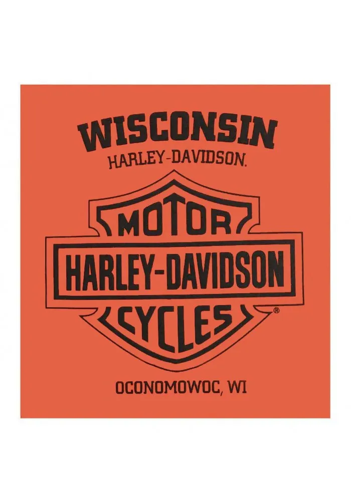 Harley-Davidson Hommes Iron Wing Premium manches courtes T-Shirt Orange Wash 30294816