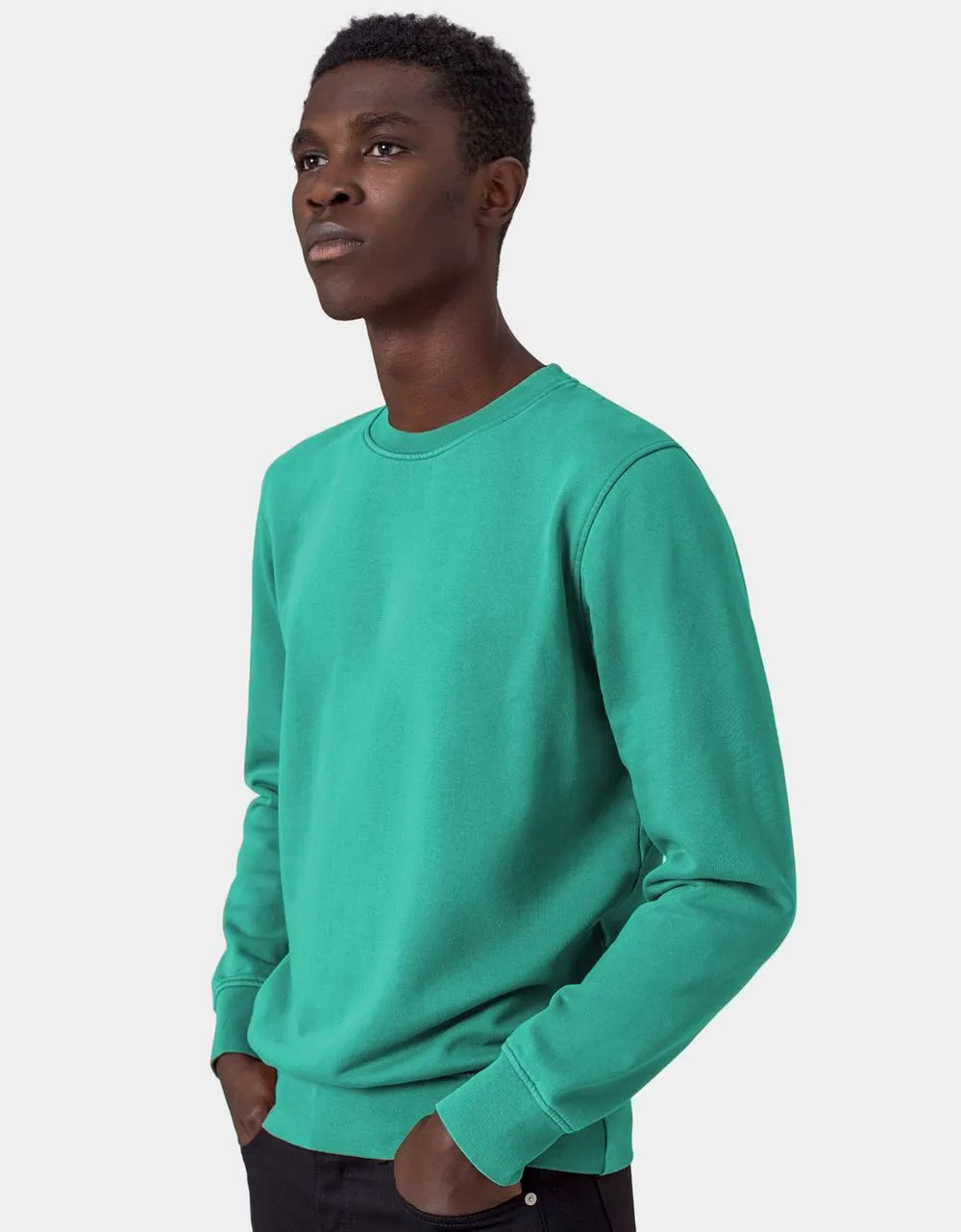 Sweat en coton bio | bleu turquoise "tropical sea" homme