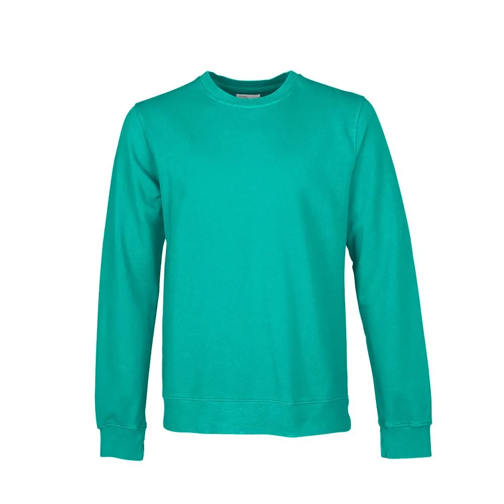 Sweat en coton bio | bleu turquoise "tropical sea" homme